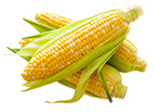 Corn on the Cob