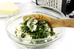 Ricotta Sauce