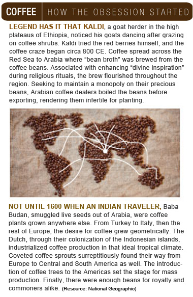 Coffee, the Obsession