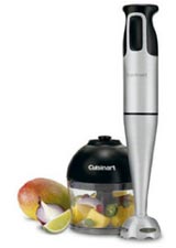 Immersion Blender