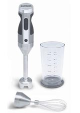 Immersion Blender