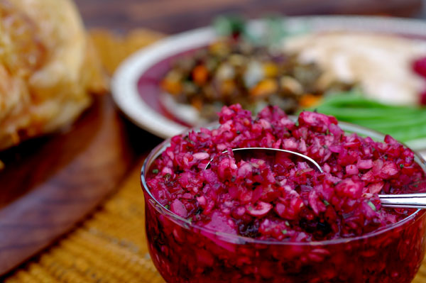 Fresh Cranberry Salsa