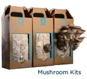 Mushroom Kits