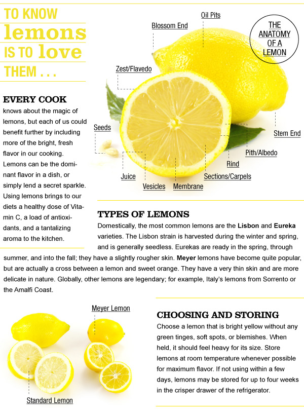 Anatomy of a Lemon