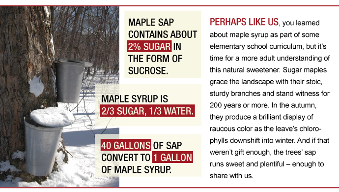From Sap to Syrup