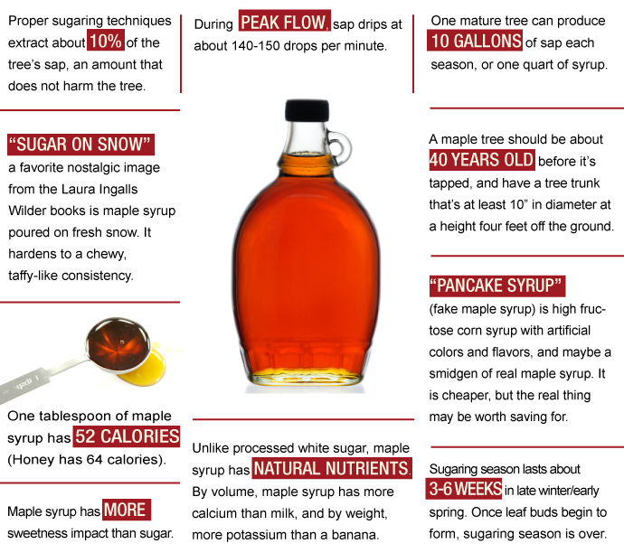 Know Maple Syrup TriviaLemons