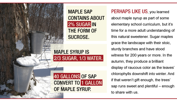 Sap to Syrup
