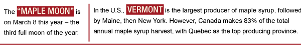 Maple Syrup Trivia