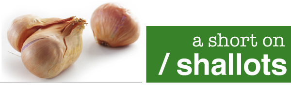 Shallots