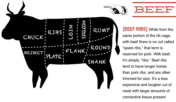 Beef Guide