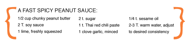 A Fast Spicy Peanut Sauce
