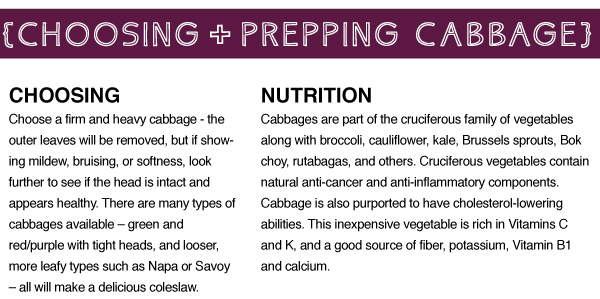 Choosing + Prepping Cabbage