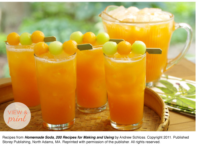 RECIPE: Cantaloupe Clementine Soda