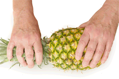 How To Wrangle a Pineapple