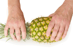 Pineapple Wrangling