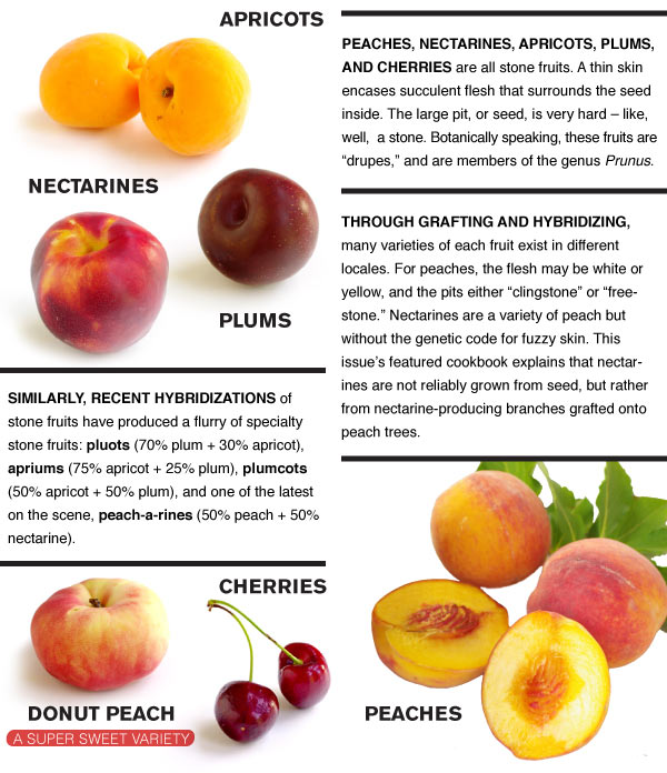 What is a Stone Fruit?