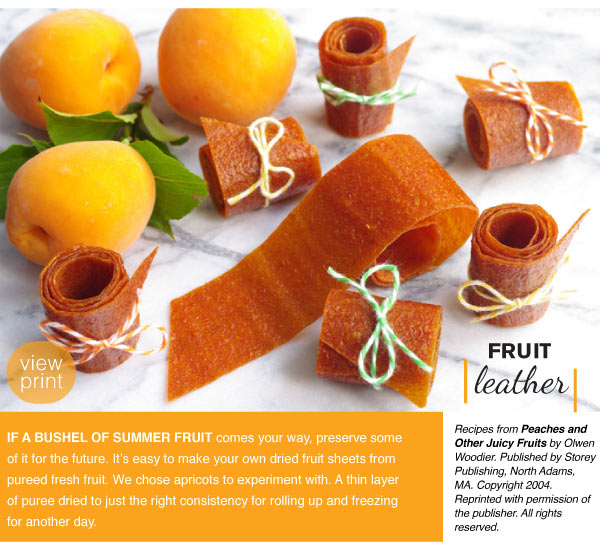 RECIPE: Fruit Leather