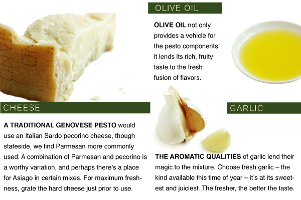 Pesto Ingredients