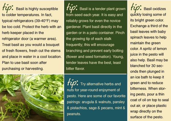 Pesto-Making Tips