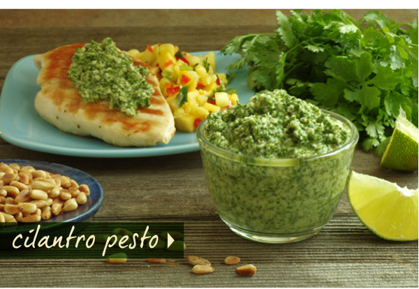 Cilantro Pesto