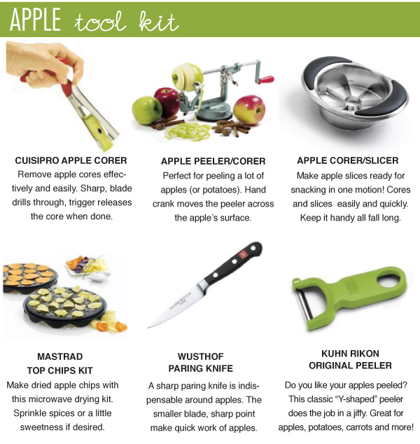 Apple Tool Kit