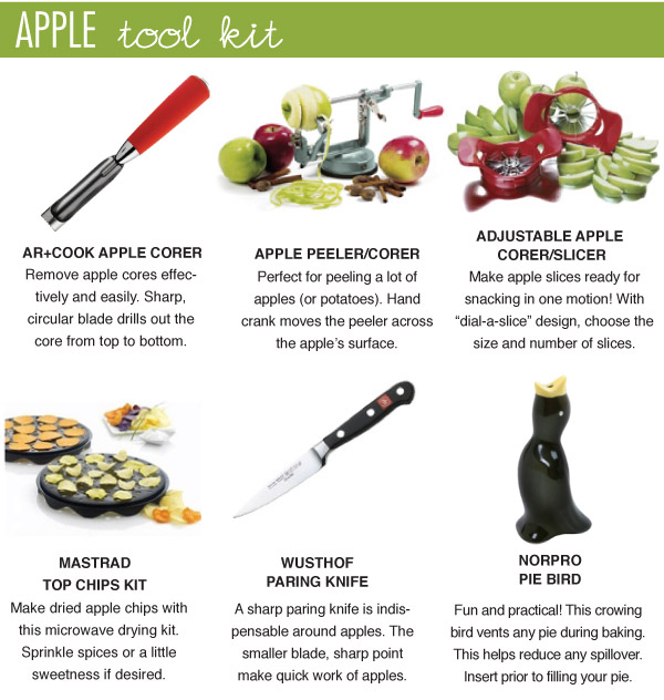 Apple Tool Kit