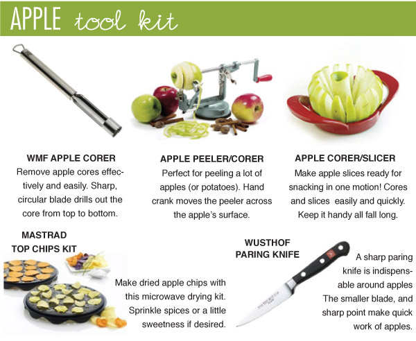 Apple Tool Kit