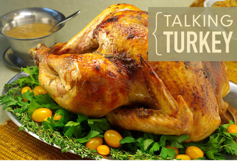 Talking Turkey