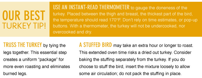 Top Turkey Tips