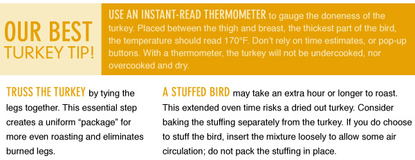 Our Best Turkey Tip