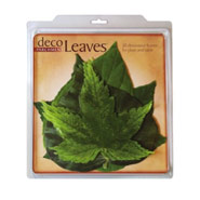 Leaves