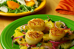 Seared Scallops with Oranges