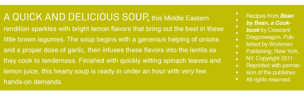 RECIPE: Sahadi's Lebanese Lentil Soup with Spinach