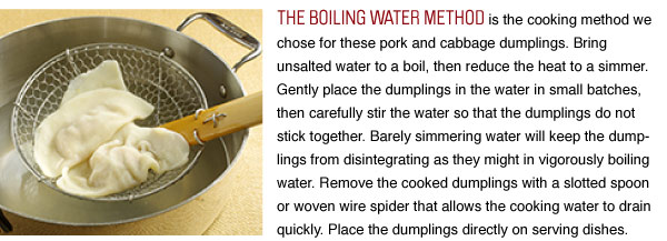 Cooking Dumplings Boiling