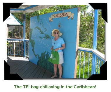 TEI Bag in the Caribbean