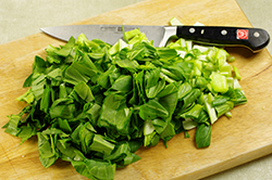 Chopping Bok Choy