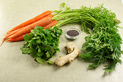 Carrot Ingredients