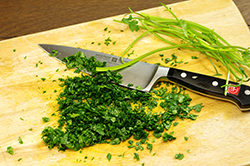 Chopping Cilantro