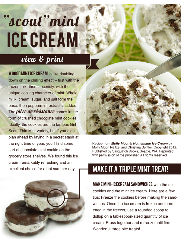 RECIPE: Scout Mint Ice Cream