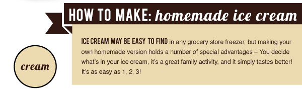 How to Make Home Made Ice Cream