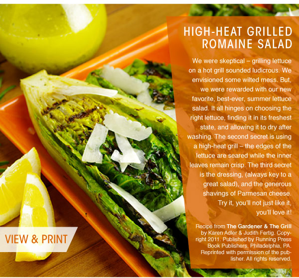 RECIPE: High-Heat Grilled Romaine Salad
