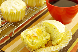 LEMON-POPPY SEED MUFFINS