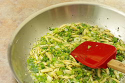 Sauteing Green Onions