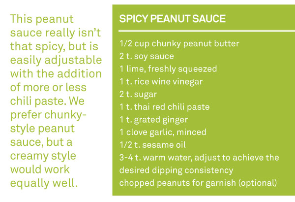 Spicy Peanut Sauce