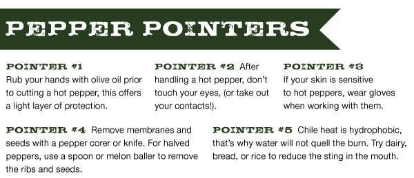 Pepper Pointers