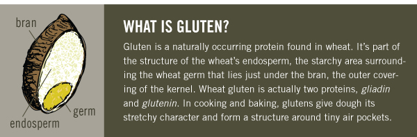 What is Gluten?