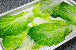 Cabbage Leaves