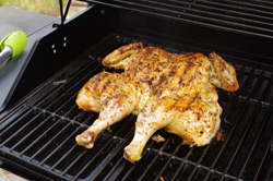 Grilled Chicken
