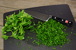 Mincing Parsley