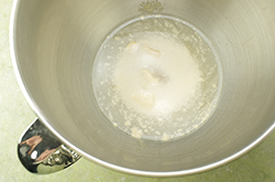 Proofing Yeast